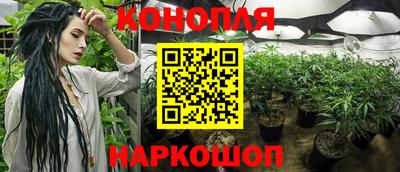 спиды Дмитров