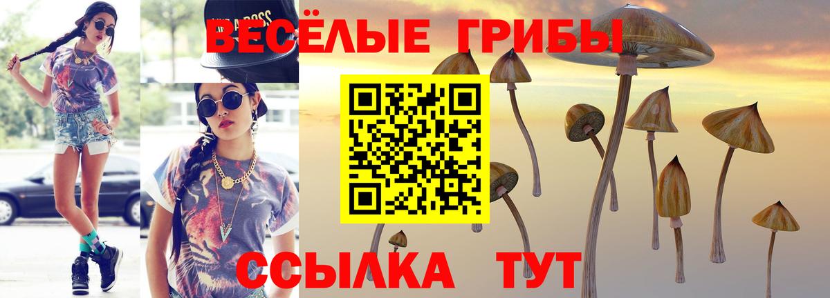 Галлюциногенные грибы MAGIC MUSHROOMS  Вход с VPN  что такое   Владивосток 